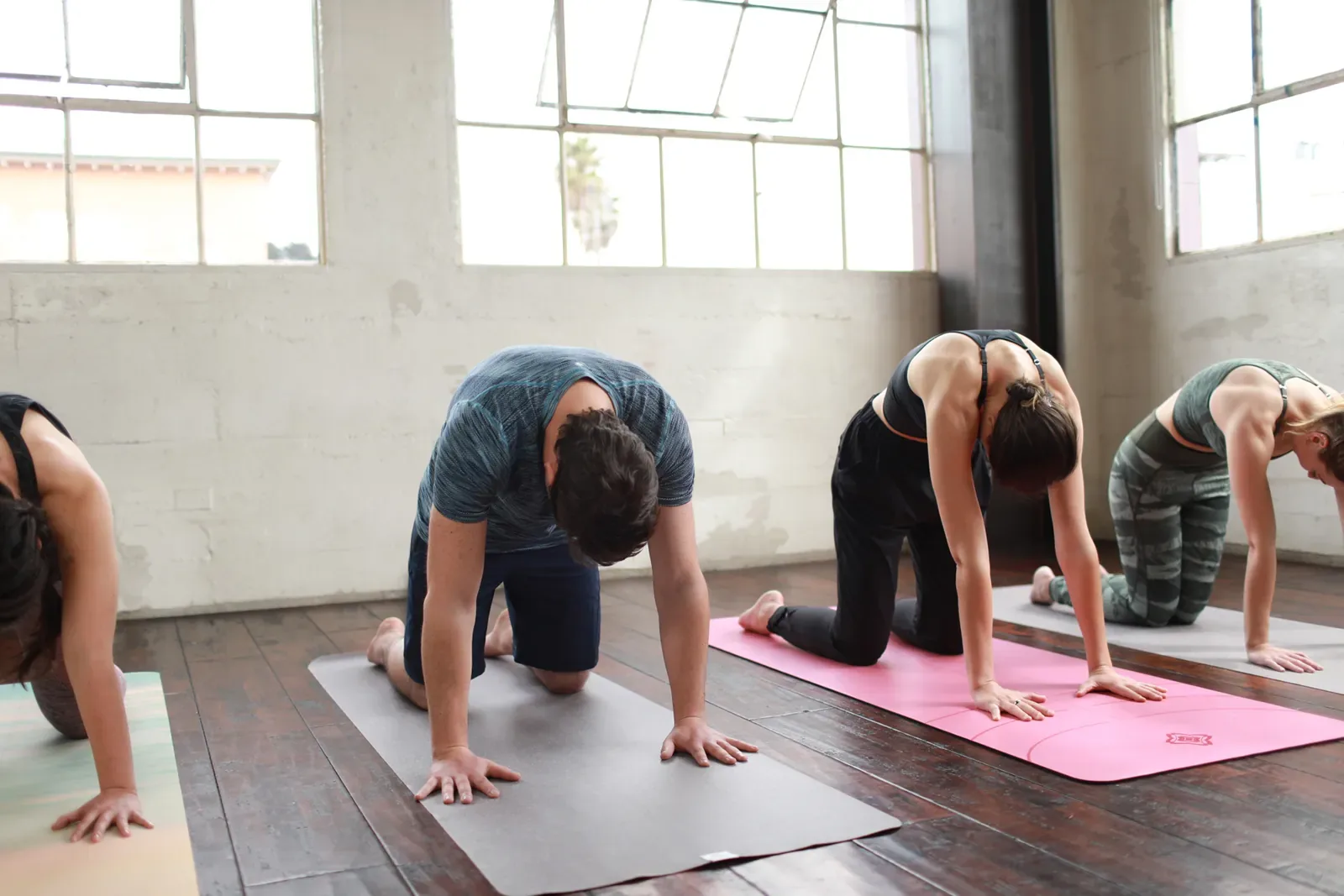 Group moving through a cat cow stretch on yoga mats in a sunny loft studio