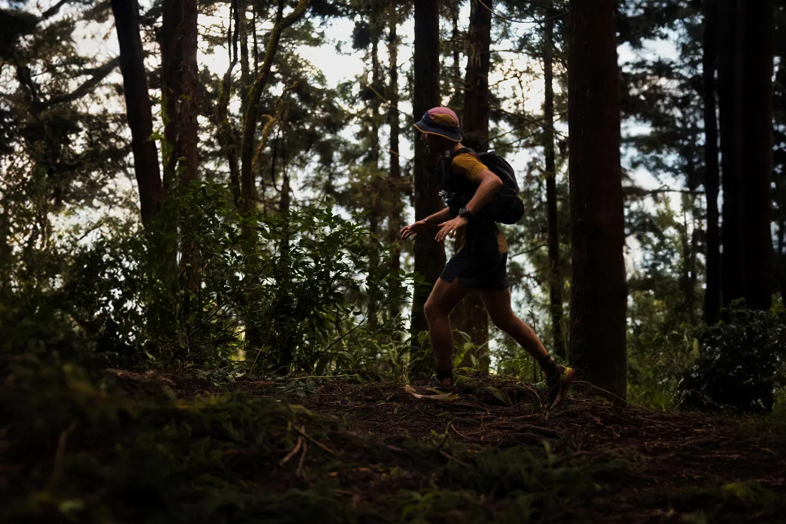 Trail runner with a small pack climbing a shaded forest trail